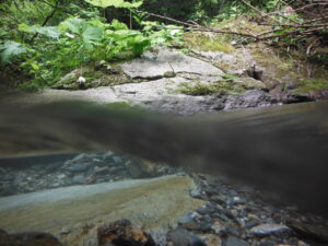 troubled waters Wasserwege in der Krise Mai 2026